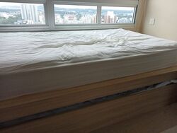 Commonwealth Drive (Queenstown),  #398239921